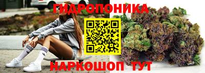 индика Беслан