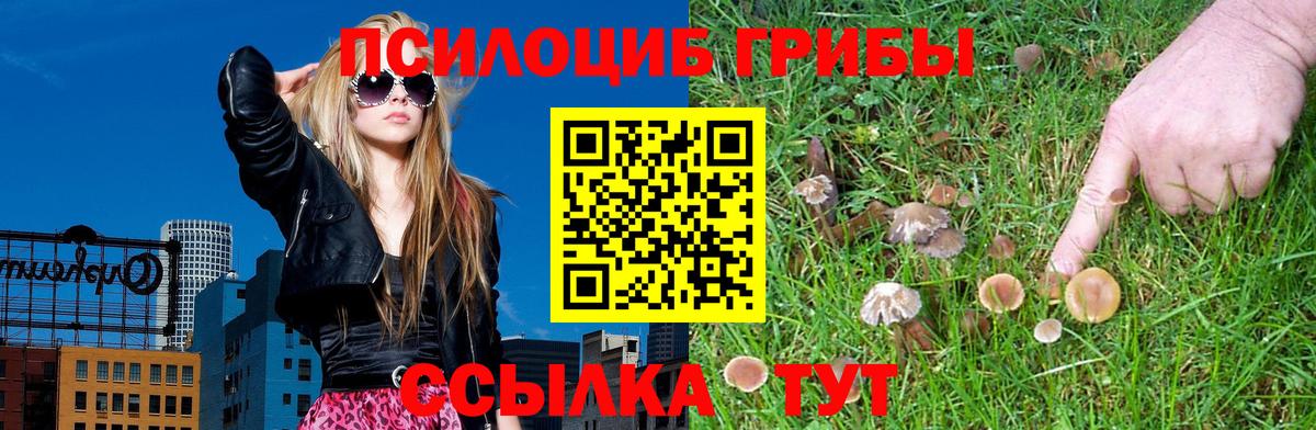 Псилоцибиновые грибы MAGIC MUSHROOMS Волжский